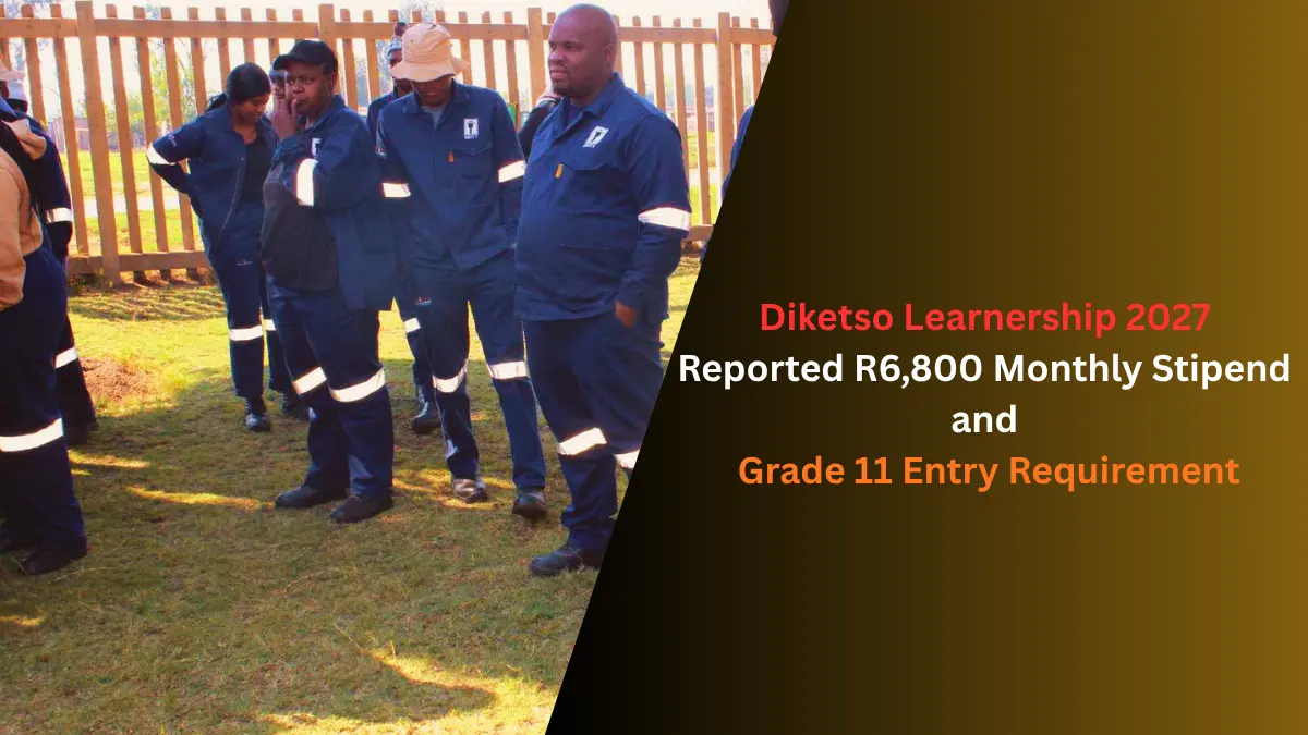 Diketso Learnership 2027