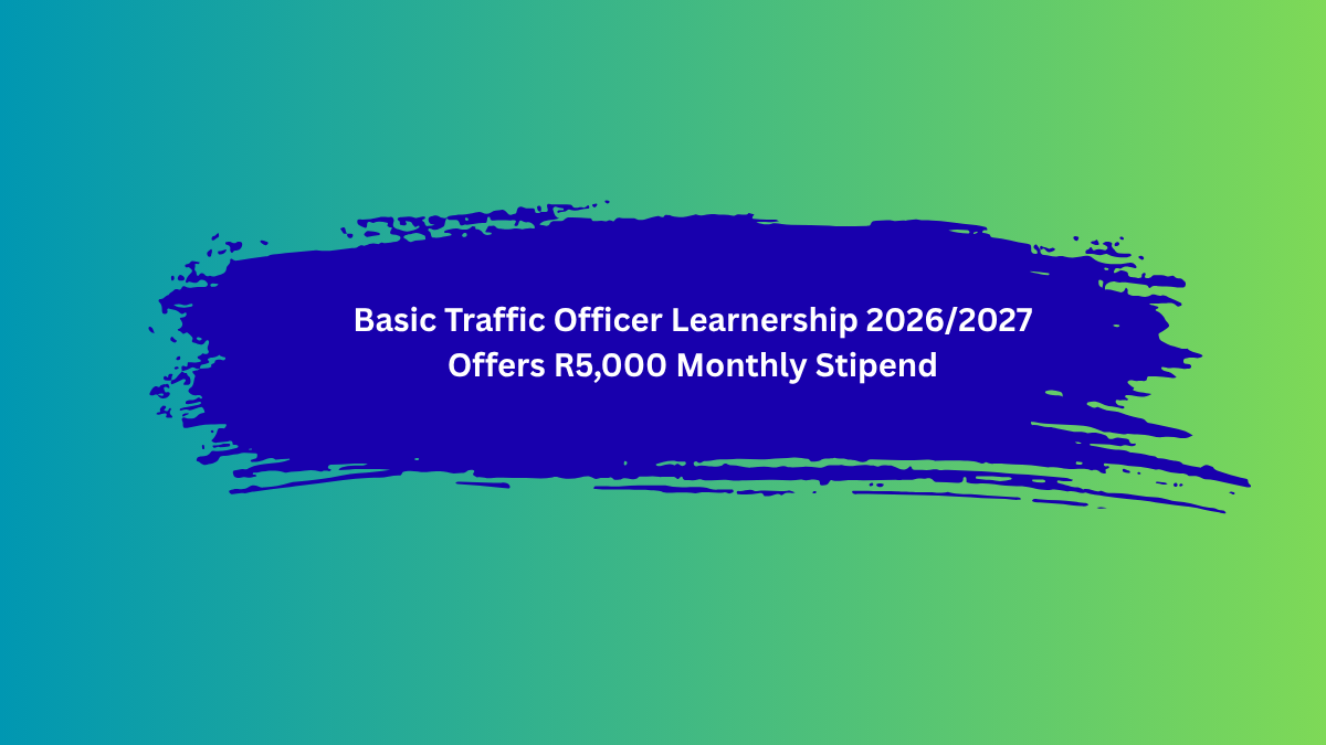 Basic Traffic Officer