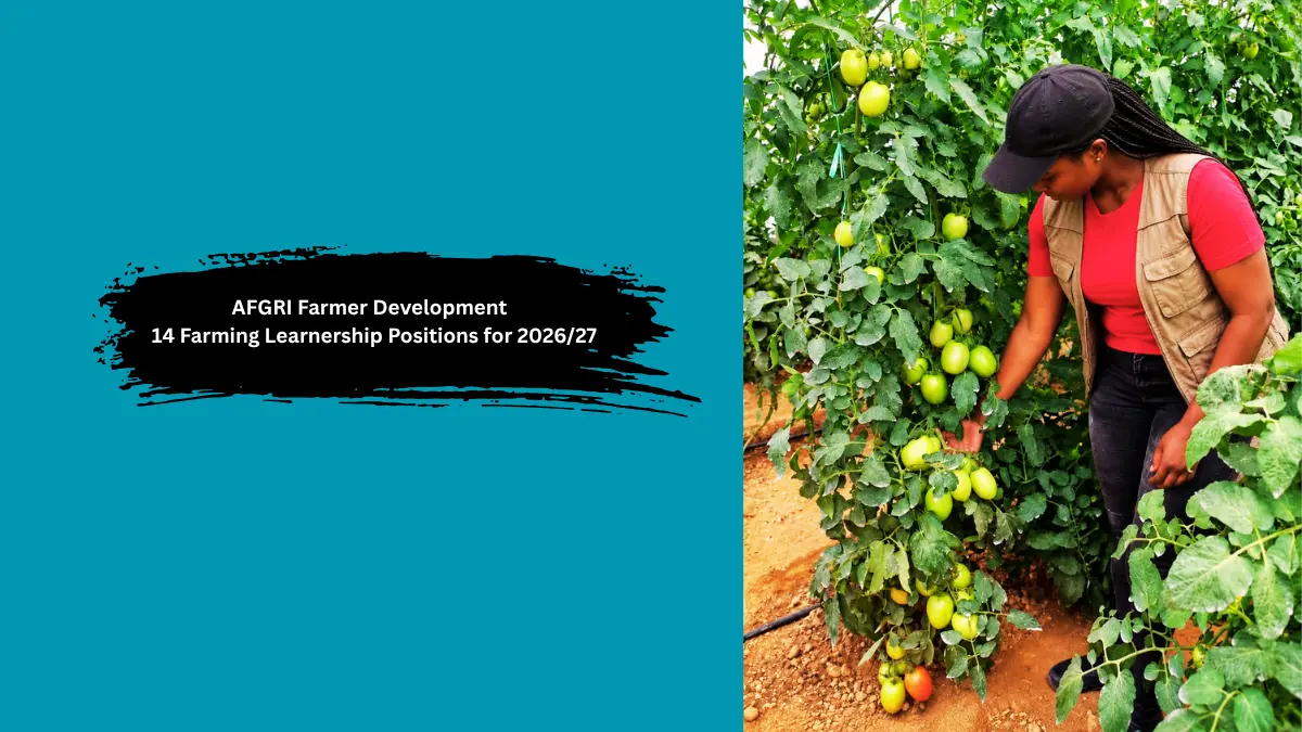 AFGRI Development Farming Learnership